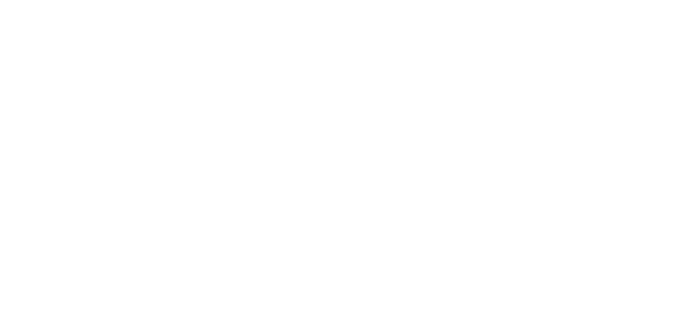 Archnes